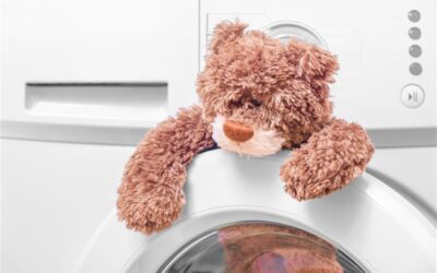 Parents Admit to Beary Bad Hygiene