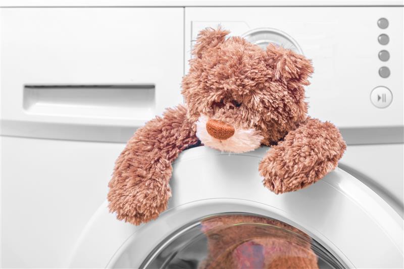 Parents Admit to Beary Bad Hygiene